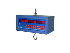 Price Computing Scale Hanging